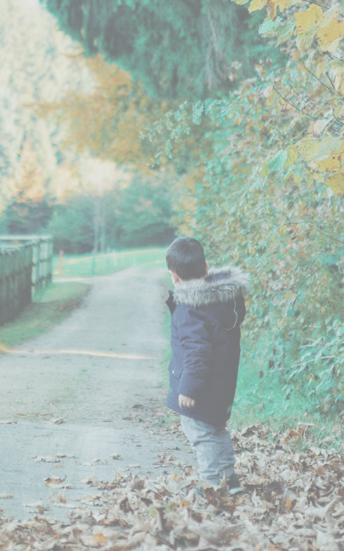child-welfare-2